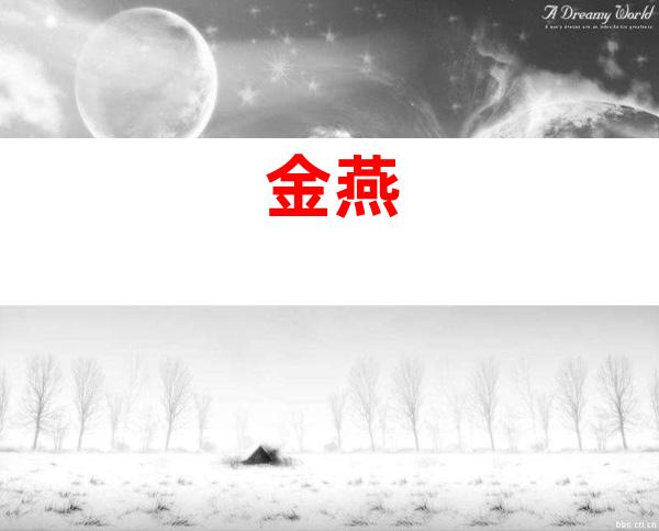 金燕